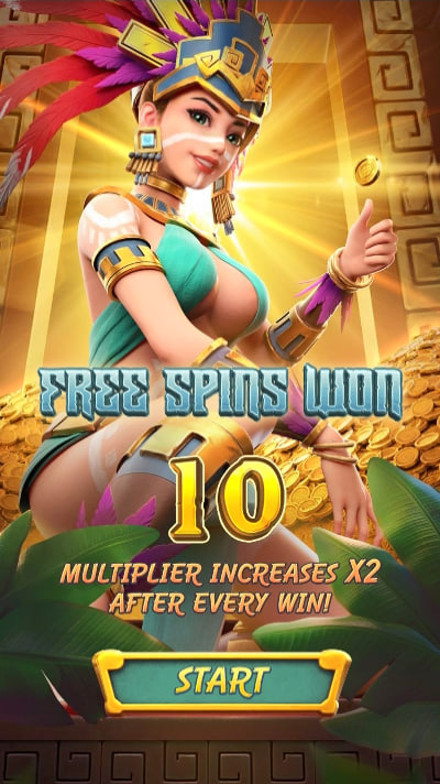 455bet