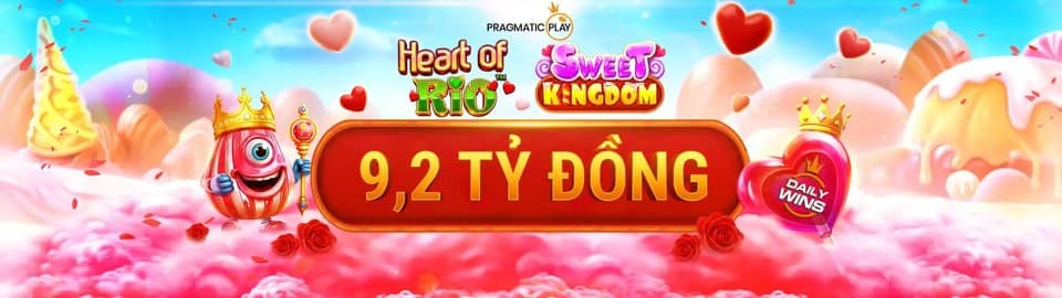 9d bet com login