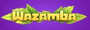Wzbet login