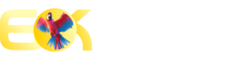 1xbet affiliate - Esportbet
